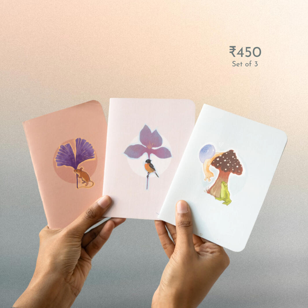 earthbound journals and notebooks saddle stitch gifting sustainable stationery set of 3 nature