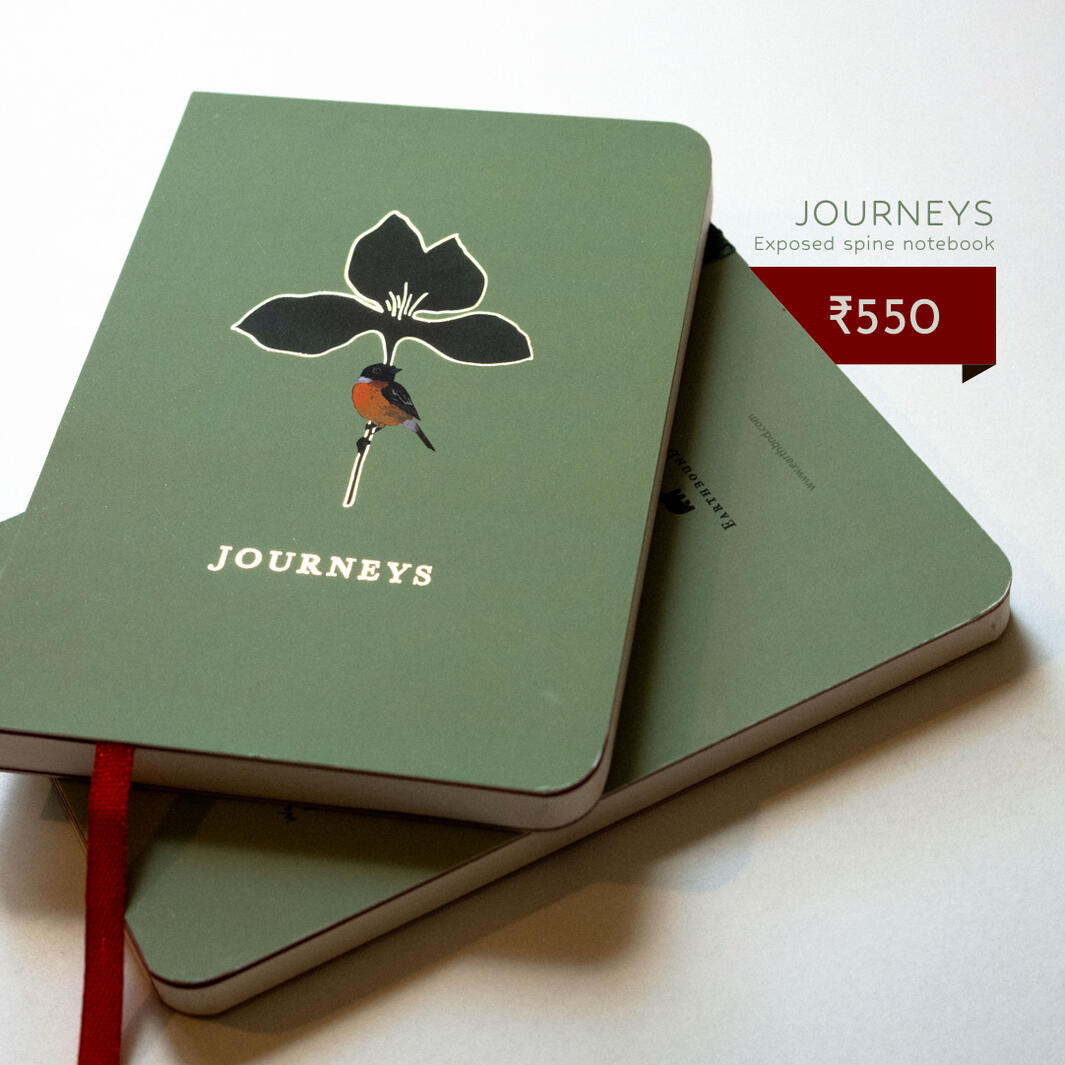 earthbound journal 1 - journeys